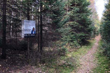 Rue du Colonel, Saint-Faustin/Lac-Carré, Quebec J0T 2G0, Canada