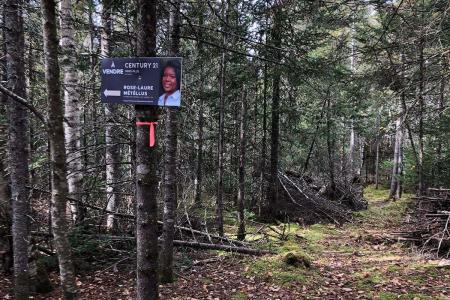 Rue du Colonel, Saint-Faustin/Lac-Carré, Quebec J0T 2G0, Canada