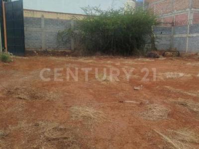 convento de nuestra señora de Izamal 1,, Guadalupe, Zacatecas 98612, Meksyk