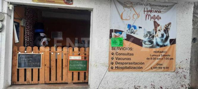 José Vasconcelos 17,, Fresnillo, Zacetecas 99094, México