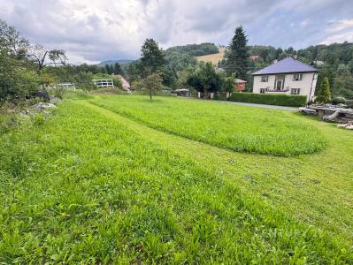 Zlatá Olešnice, Jablonec Nad Nisou 100 00, República Checa
