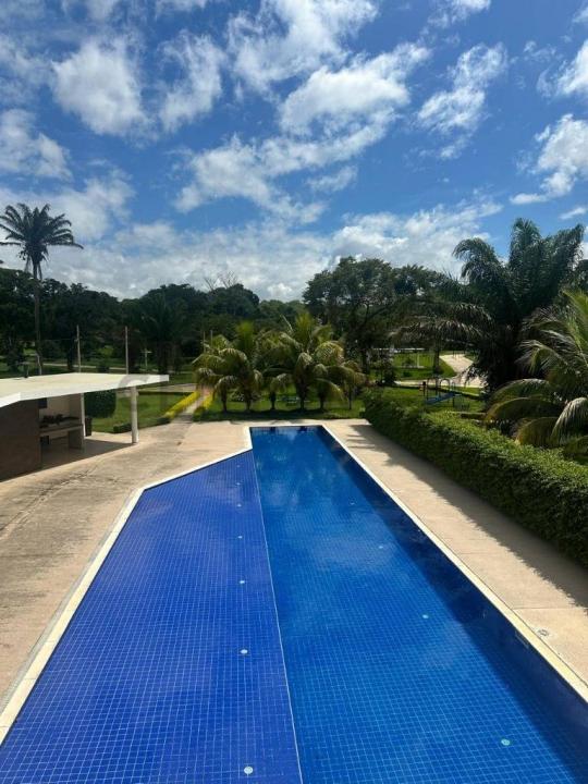 Las palmas del urubo , Urubo, Santa Cruz 00001, Bolivia