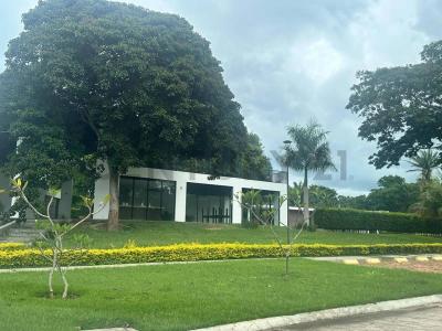 Las palmas del urubo , Urubo, Santa Cruz 00001, Bolivia