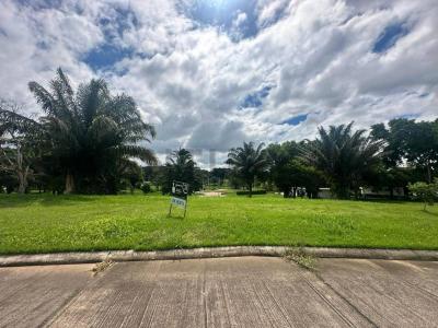 Las palmas del urubo , Urubo, Santa Cruz 00001, Bolivia