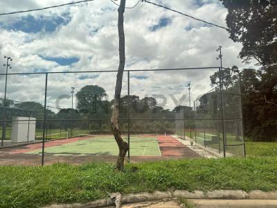 Las palmas del urubo , Urubo, Santa Cruz 00001, Bolivia