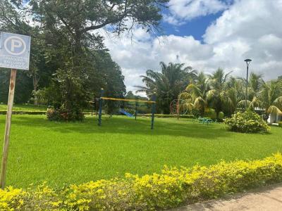 Las palmas del urubo , Urubo, Santa Cruz 00001, Bolivia