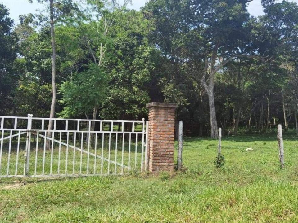 Buena Vista , Ñuflo De Chávez, Santa Cruz 00001, ボリビア