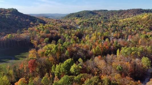 31 Ch. Sisttie, La Pêche, 魁北克省 J0X 3G0, 加拿大