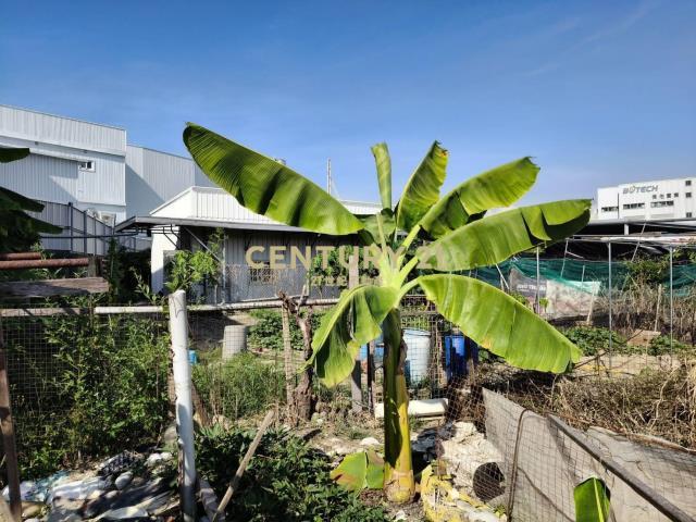 春社段, Nantun Dist., Đài Trung 408, Đài Loan