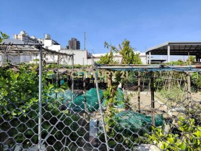 春社段, Nantun Dist., Đài Trung 408, Đài Loan