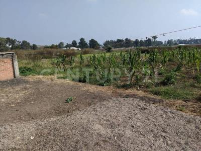 San José de Cerquillas SN,, Alvaro Obregón, Michoacán 58928, Mexico