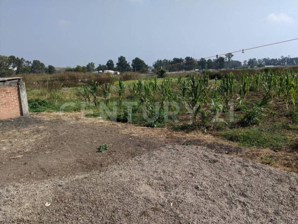 San José de Cerquillas SN,, Alvaro Obregón, Michoacán 58928, Mexico