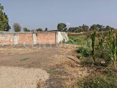 San José de Cerquillas SN,, Alvaro Obregón, Michoacán 58928, Mexico