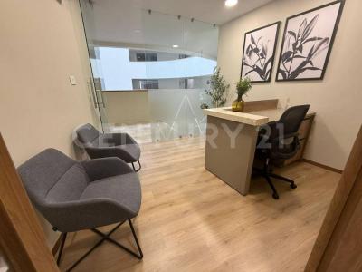 San Luis Potosi, San Luis Potosi 78295, Mexique