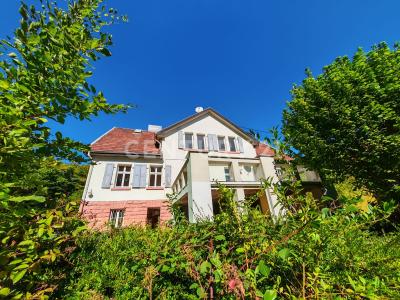 Neunkirchen, Saarland 66540, Germany