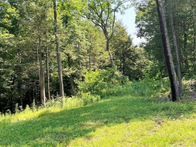 Lot 37A Hemlock Hills Rd, Towanda, Pennsylvania 18848, Stati Uniti