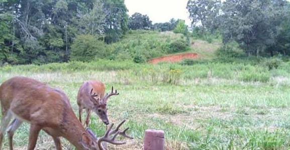 128 Cook Lane, Mills River, North Carolina 28759, HOA KỲ