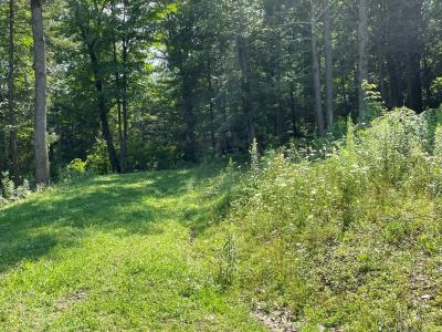 Lot 43A Hemlock Hills Rd, Towanda, Pennsylvania 18848, Stati Uniti