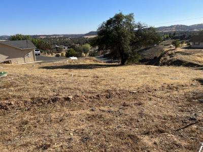 2841 Quail Hill Road, Copperopolis, Califórnia 95228, Estados Unidos