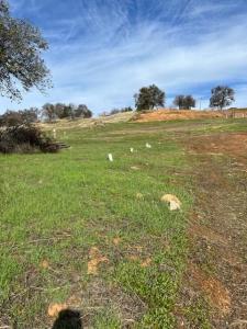 2841 Quail Hill Road, Copperopolis, Califórnia 95228, Estados Unidos