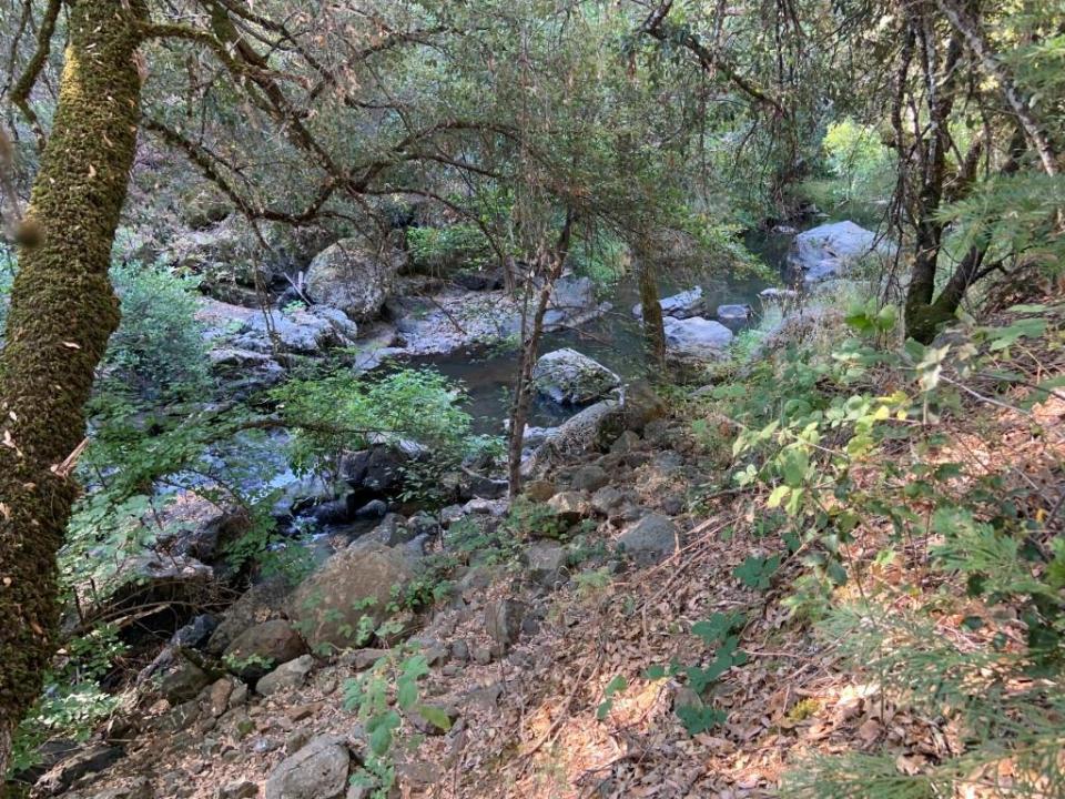 17340 Scopar Road, Grass Valley, 加州 95949, 美國