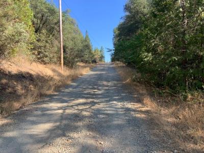 17340 Scopar Road, Grass Valley, 加州 95949, 美國