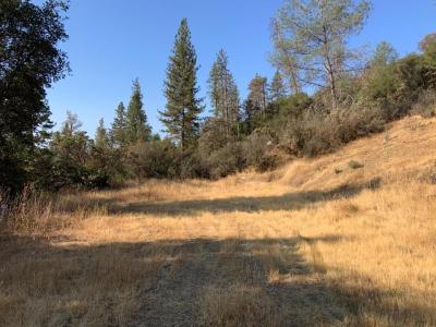 17340 Scopar Road, Grass Valley, 加州 95949, 美國