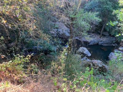 17340 Scopar Road, Grass Valley, 加州 95949, 美國