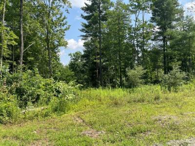 Lot 21A Hemlock Hills Rd, Towanda, Pennsylvania 18848, Stati Uniti