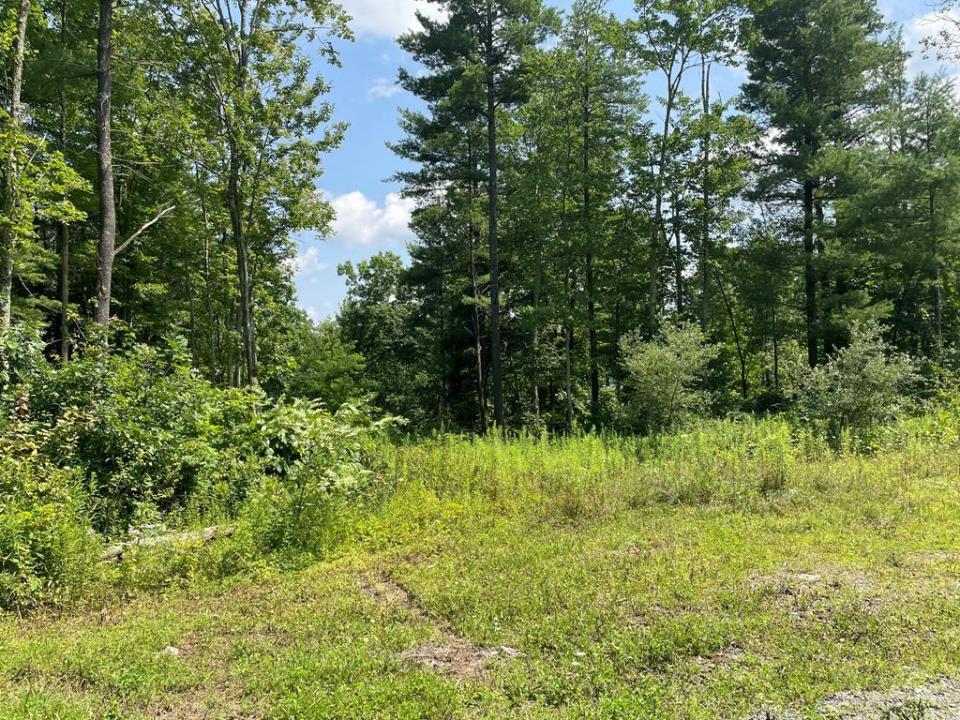 Lot 21A Hemlock Hills Rd, Towanda, Pennsylvanie 18848, États-Unis