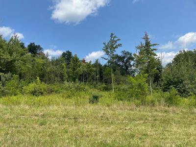 Lot 11A Hemlock Hills Rd, Towanda, Pennsylvania 18848, Stati Uniti