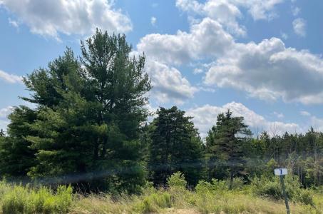 Lot 7A Hemlock Hills Rd, Towanda, Pennsylvania 18848, Stati Uniti