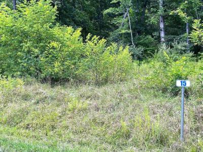 Lot 15A Hemlock Hills Rd, Towanda, Pennsylvanie 18848, États-Unis