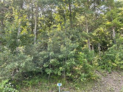 Lot 49A Hemlock Hills Rd, Towanda, Pennsylvania 18848, Stati Uniti