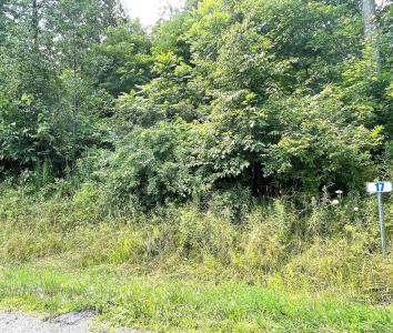Lot 17A Hemlock Hills Rd, Towanda, Pennsylvania 18848, Stati Uniti