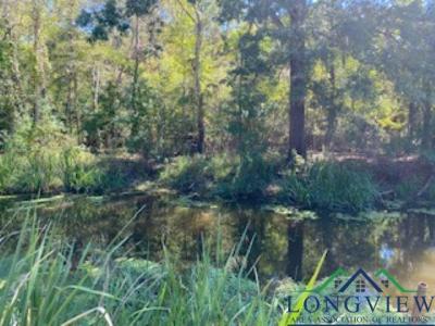 4138 Cypress Village Rd, Karnack, Texas 75661