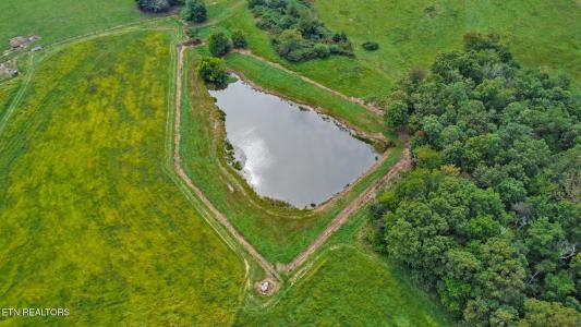 Nicholson Drive-120 Acres +/-, Crossville, Tennessee 38572, Stati Uniti