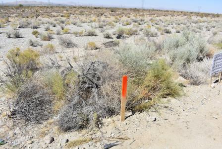 Pearblossom Hwy & Vic 146th E APN 3037-001-038, Pearblossom, California 93553, HOA KỲ