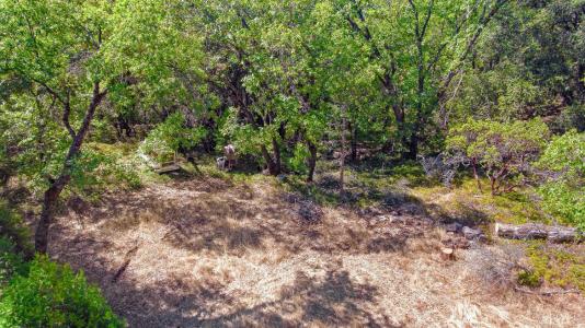 2220 Lookout Mountain Drive, Camino, カリフォルニア 95709, アメリカ合衆国