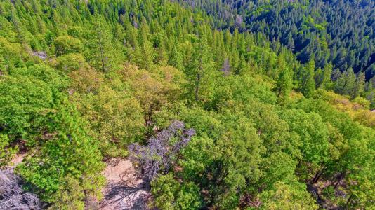 2220 Lookout Mountain Drive, Camino, カリフォルニア 95709, アメリカ合衆国