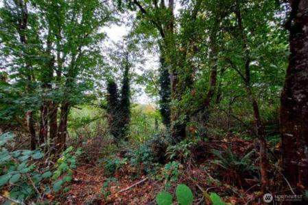 0 Lot C Melcher St, Port Orchard, Washington 98366