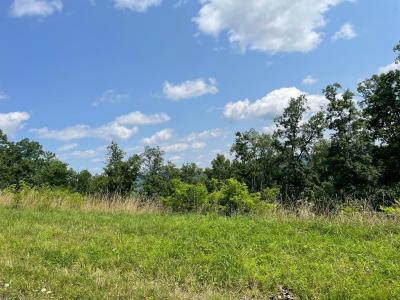 Lot 22A Hemlock Hills Rd, Towanda, Pennsylvania 18848, Stati Uniti