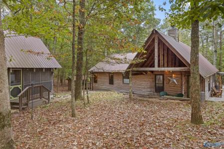 6112 Cove Road, Mentone, אלבמה 35984, ארצות הברית של אמריקה 