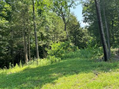 Lot 42A Hemlock Hills Rd, Towanda, Pennsylvania 18848, Stati Uniti