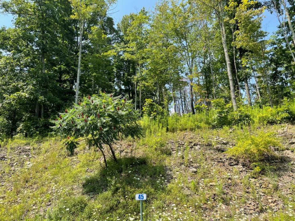 Lot 45A Hemlock Hills Rd, Towanda, Pennsylvanie 18848, États-Unis