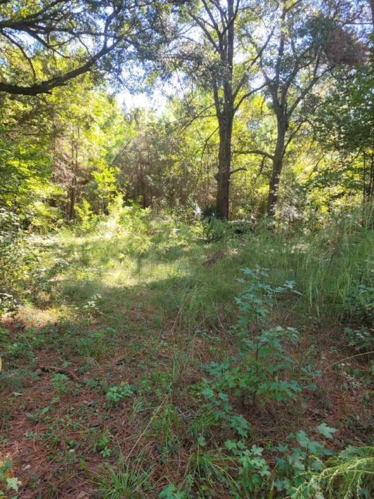 2814 Highway 174, Edisto Island, South Carolina 29438, HOA KỲ