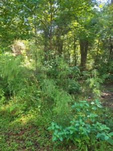 2814 Highway 174, Edisto Island, South Carolina 29438, HOA KỲ