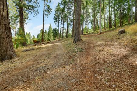 11021 Pittsburg Mine Road, Nevada City, Калифорния 95959, Соединенные Штаты