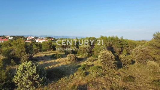 Vir, Vir, Zadarska Županija, كرواتيا