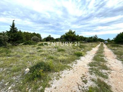 Vir, Vir, Zadarska Županija, كرواتيا